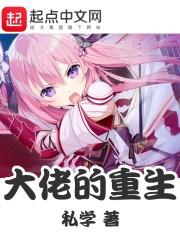 皇朝继承者